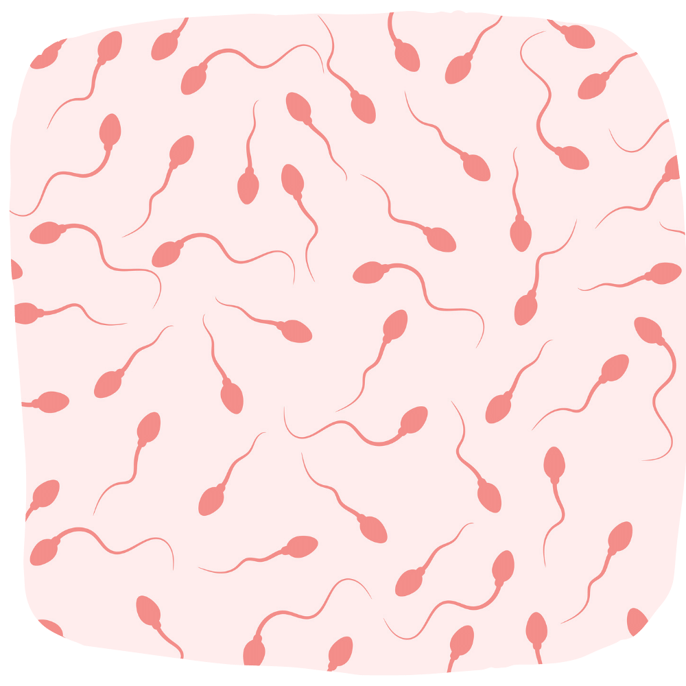 Spendersamen, samenspende