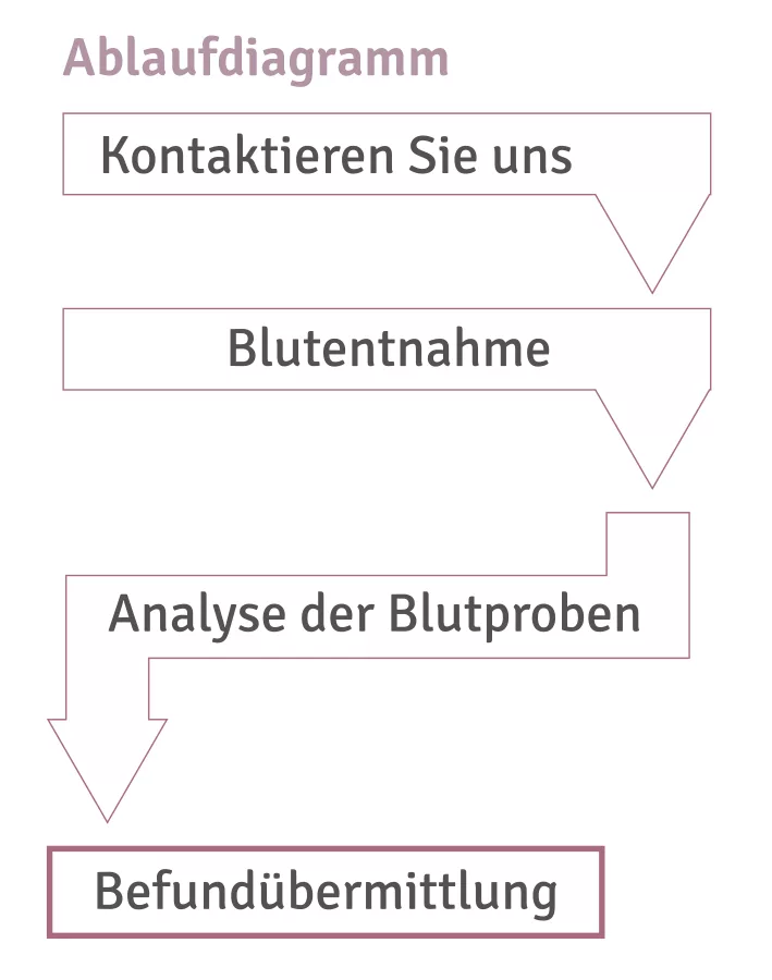 Ablaufdiagram mobil