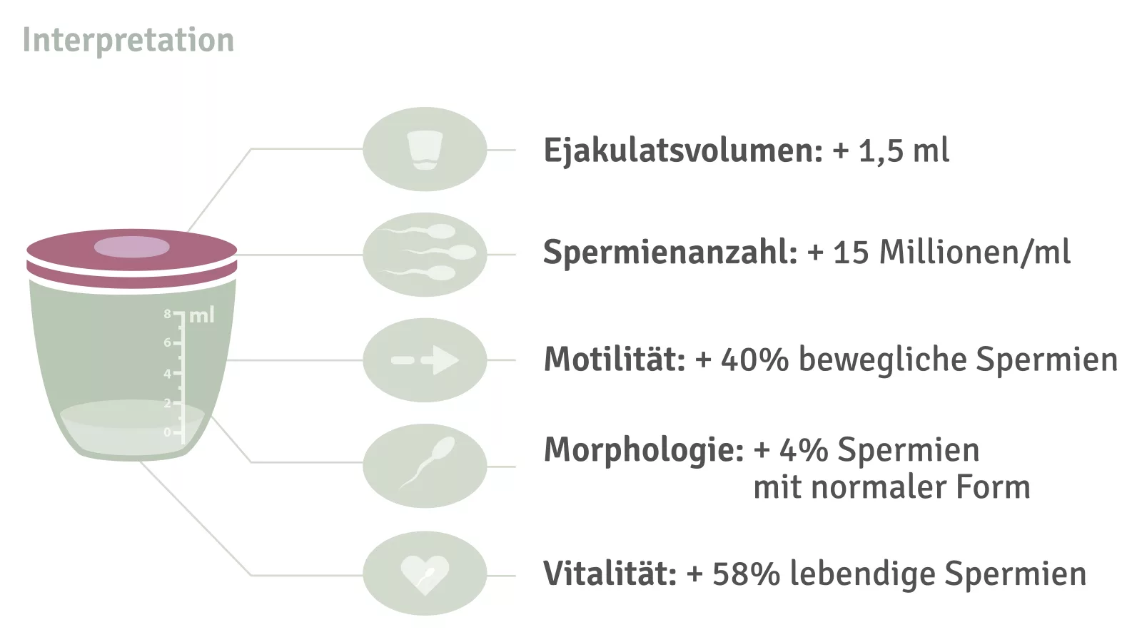 Spermiogramm Interpetieren