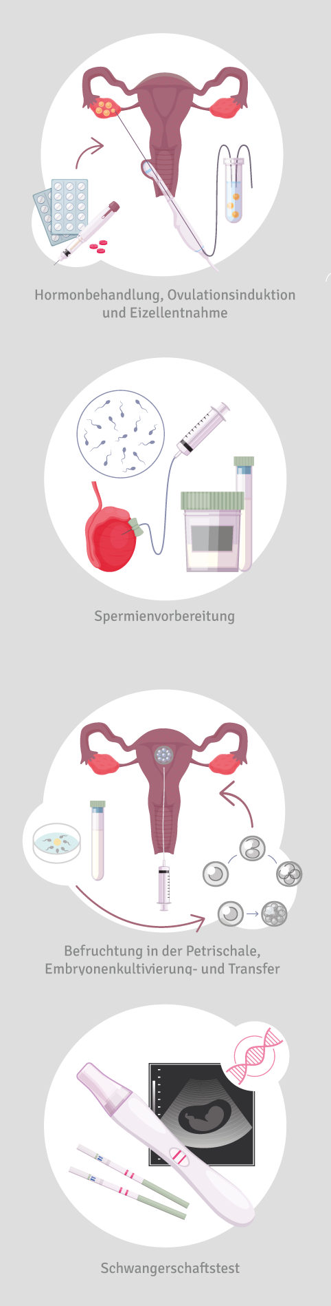 IVF-Grafik-mobil-NEU